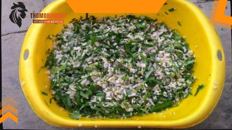 Cho gà chọi ăn gì để tăng cân nhanh và an toàn nhất cho thi đấu? 4 Kỹ năng tuyển chọn thực phẩm đảm bảo tính khoa học
